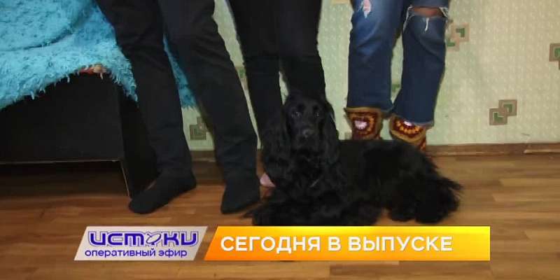 Орел некому освободить от ледяных оков, школьники проверили свои знания по ОБЖ и орловская семья стала победителем конкурса «Молодые лица города». Об ...