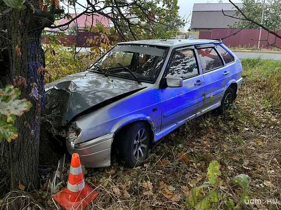 В Орловском муниципальном округе водитель «Лады» угодил в дерево