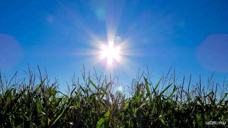 Вторая неделя самоизоляции в Орле начнется с солнечной погоды