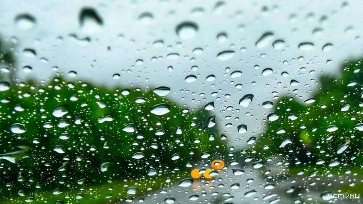 Начало недели в Орле будет холодным и пасмурным 