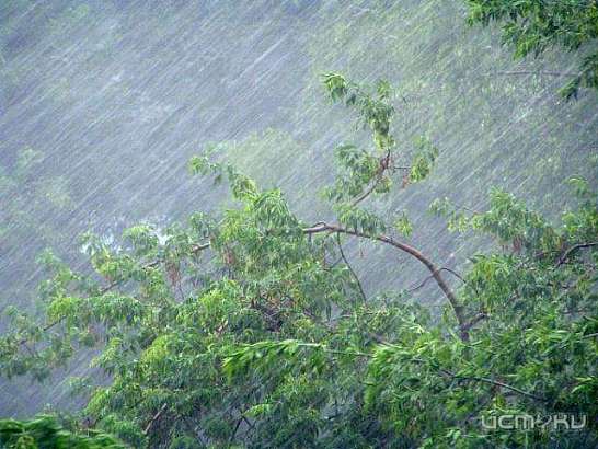 Погода не шепчет. На Орловщине в ближайшие сутки ожидается дождь и ветер