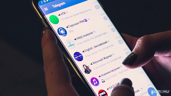 Как аудитория Telegram взаимодействует с каналами: результаты исследования