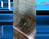 Аллеи здесь ухожены, а вот отхожее место-нет