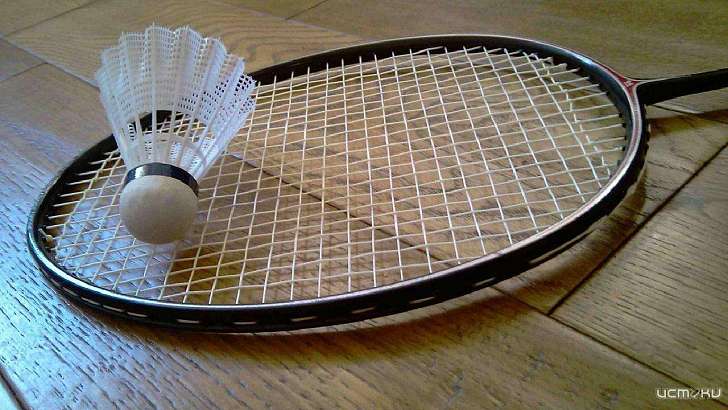 В 10 школах Орловщины будут бороться с близорукостью детей с помощью бадминтона