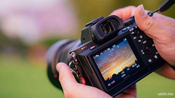 Ливенский видеоблогер пойдет под суд за дебош в полиции