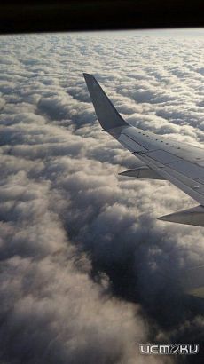 Более 28 тысяч жителей Орловской области не могут выехать за границу