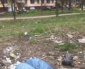 Двор на улице Комсомольской погряз в антисанитарии