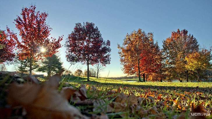 Ясное небо и +8 °C ждут орловчан в четверг 