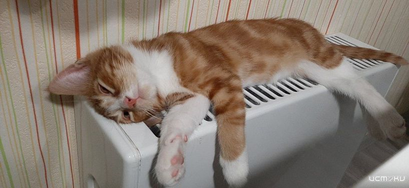 Сегодня несколько орловских домов останутся без отопления