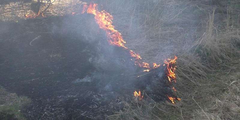 МЧС: Орловщина в опасности из-за возгораний сухой травы