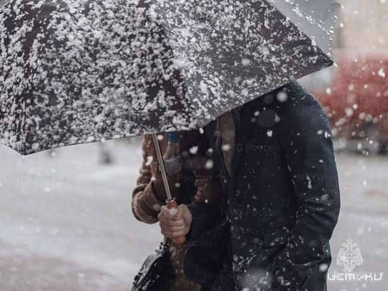 В Орле прогнозируют сильный ветер и мокрый снег