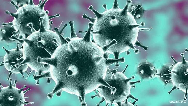 И снова +50: в Орловской области выявили новые случаи заражения COVID-19