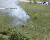 В Орле случилось очень дорогое ДТП, а в центре города развернулась спецоперация по спасению кошки