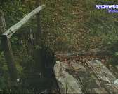 В стенах краеведческого музея прошел день открытых дверей нацпарка «Орловское полесье»