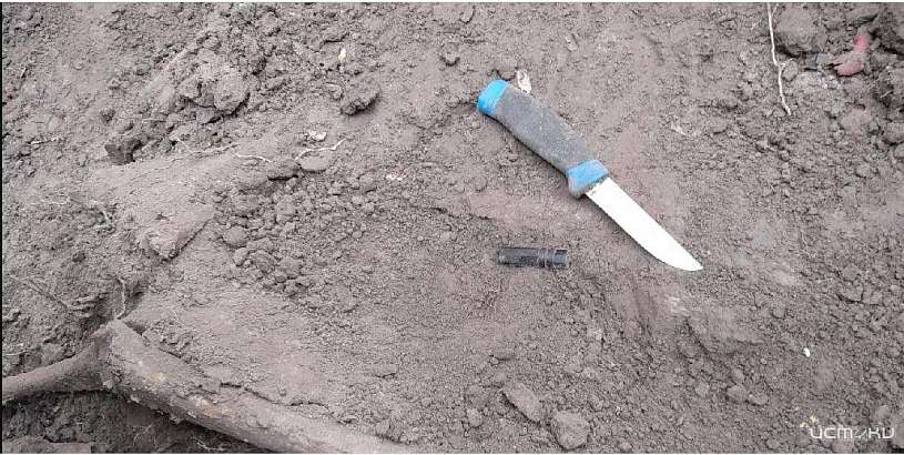 Нашли 8 медальонов бойцов, погибших во время Великой отечественной войны на Орловском направлении