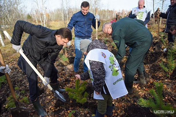 Андрей Клычков считает, что ключом к решению вопросов о вырубке деревьев является диалог с жителями