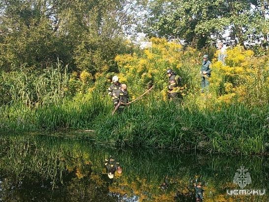 В Орле утонул мужчина 