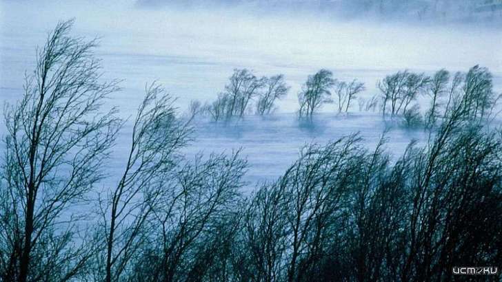 Метеопредупреждение: сегодня в Орле бушует порывистый ветер