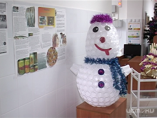 Новости за 90 секунд: с африканской чумой будут бороться мобильные отряды, у администрации Железнодорожного района отняли здание, а в городских больницах новогоднее настроение создают своими руками