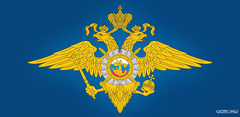 Жительница Краснодарского края обманула орловчанку при продаже щенка через интернет