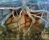 Орловчанам показали «Дивный остров Валаам». Фотоработы, сделанные на острове во время экспедиции с 2019 по 2021 годы, расположились в краеведческом му...