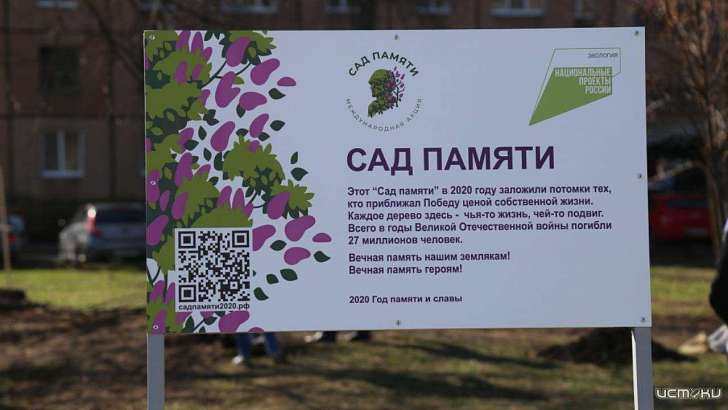В центре Орла высадили 50 лип В центре Орла высадили 50 лип