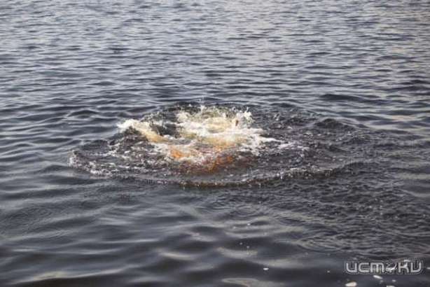  В центре Орла утонул 19-летний парень