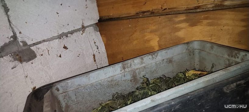 В крупном размере 