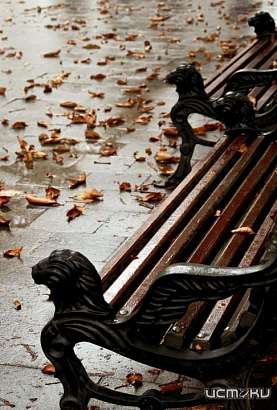 Начало новой недели пройдет под шум кратковременных дождей