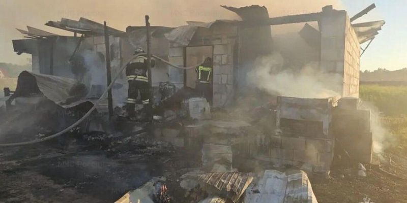 В МЧС рассказали подробности вчерашнего пожара в НовоОбразцово