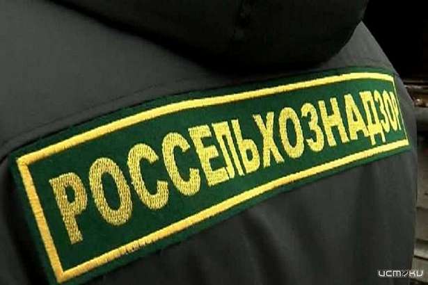 Под Орлом «Монолитстрой» уничтожил более 100 кв. м. плодородной почвы, прокладывая дорогу