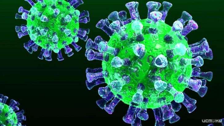 В «Бунинке» открылась выставка «Коронавирус: мифы и реальность»