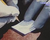 Уникальной битве - уникальная выставка