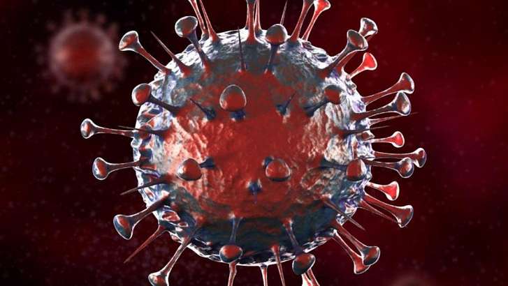 На Орловщине за последние сутки от коронавируса скончались 2 человека 