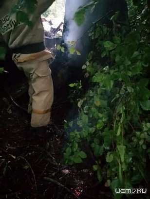 Под Ливнами молния ударила в дерево