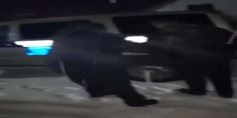 Видео: орловчанин помог полицейским поймать автовора