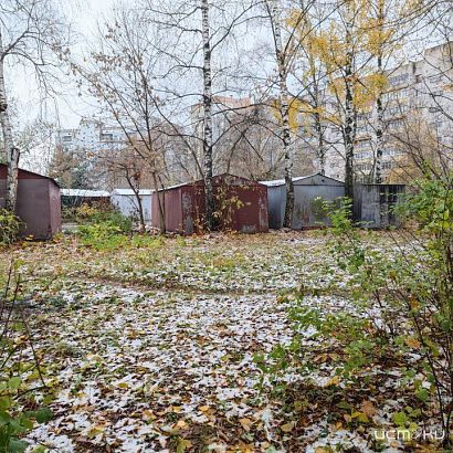 В Орловской области ожидается штормовой ветер и снег