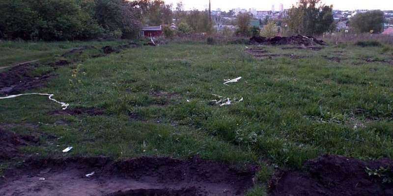 В орловских Лужках вандалы расправились с аллеей, посаженной к 9 Мая