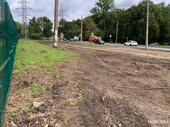 В Орле на улице Генерала Родина вырубили кустарники