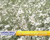 Отчет мэра о работе на благо Орла, генеральная уборка города – сегодня в программе «Оперативный эфир»