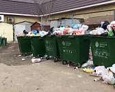 Порядка не будет? УК «Зеленая роща» в очередной раз превратила контейнерную площадку на ул. 4-я Курская, 2 в свалку