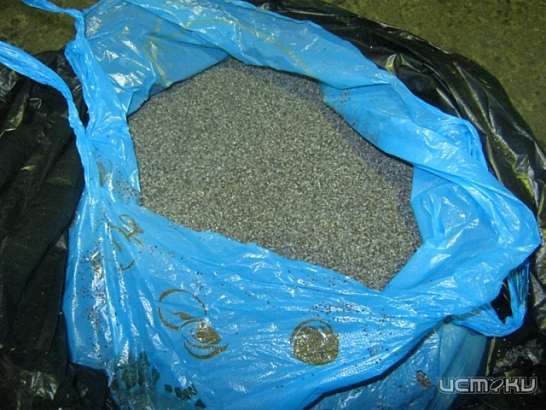 «Наркотуристам» не удалось обмануть таможенников