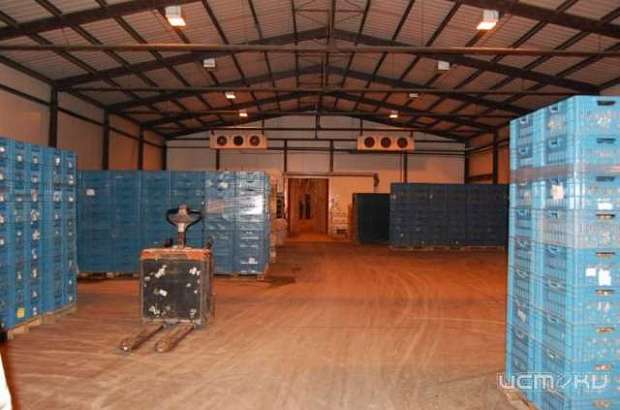 На Орловщине появится огромный овощной склад 