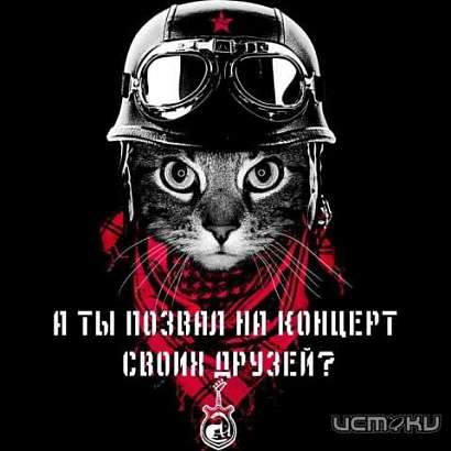 В Орле сыграют рок в защиту животных В Орле сыграют рок в защиту животных