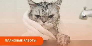 горячая вода Жители Орла возмущены отсутствием горячей воды