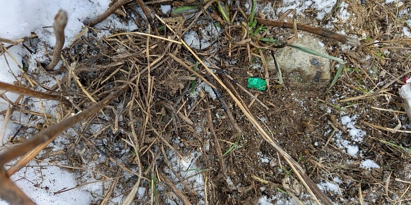 В Орле задержан молодой человек, подозреваемый в распространении наркотиков