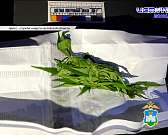 Во Мценске на переулке Драничном земля начала уходить из-под ног, в рюкзаке у орловчанина нашли амфетамины и марихуану, а мы выбрали победителя нашего...