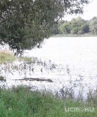 В Ливенском районе 11-летний мальчик утонул, пытаясь спасти мать