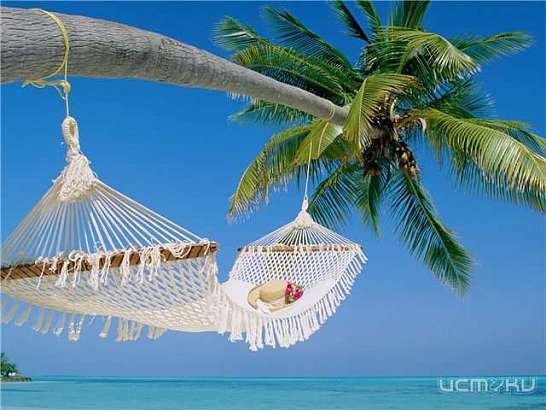 Великолепный отдых и положительные эмоции – это цель, к которой движется компания!