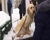 В детском парке Орла провели пожарно-спасательный флешмоб